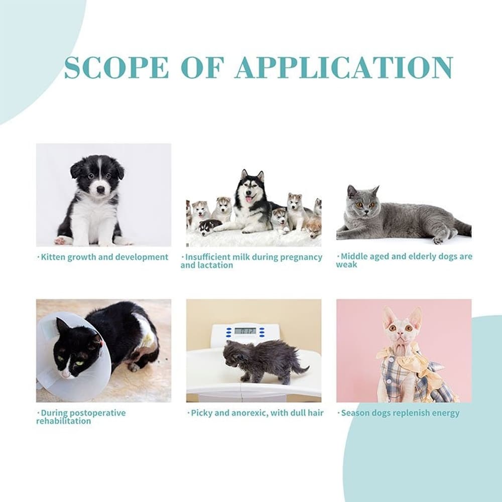 بيولاين-بروبيوتيك منشط عالي الطاقة للقطط والكلاب 3جم للحبه عبوة مكونة من 10حبه